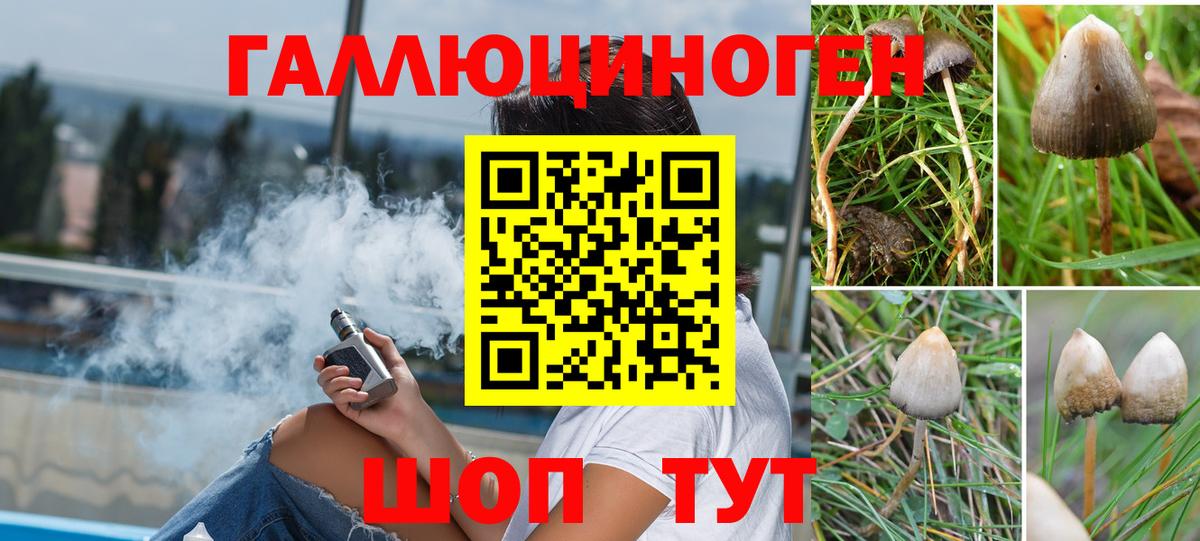 Галлюциногенные грибы Psilocybine cubensis Жигулёвск