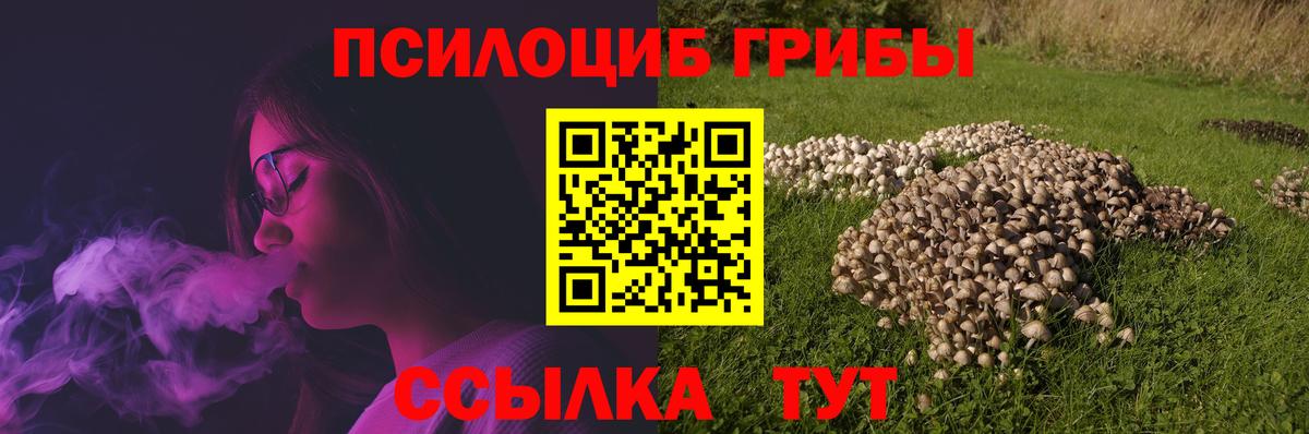 Галлюциногенные грибы ЛСД  Вход с VPN  Галлюциногенные грибы ЛСД  Жигулёвск 